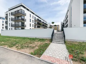 Pronájem bytu 1+kk, Plzeň - Jižní Předměstí, Železná, 34 m2
