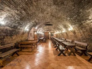 Prodej restaurace, Dolní Dunajovice, Hlavní, 300 m2