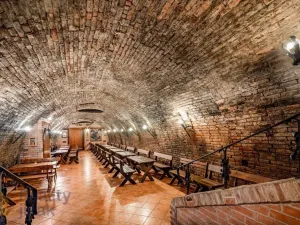 Prodej restaurace, Dolní Dunajovice, Hlavní, 300 m2