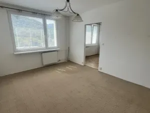 Prodej bytu 1+1, Děčín - Děčín XXVII-Březiny, Kosmonautů, 36 m2