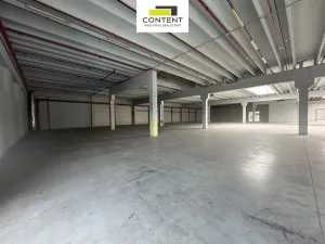 Pronájem skladu, Říčany, U Sanitasu, 11000 m2