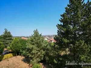 Pronájem bytu 2+1, Náměšť nad Oslavou, Zborovská, 48 m2