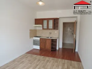 Pronájem bytu 1+kk, Praha - Libeň, Vosmíkových, 25 m2