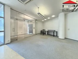 Pronájem obchodního prostoru, Brno, Bubeníčkova, 193 m2