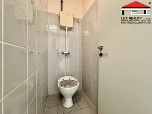 Pronájem obchodního prostoru, Brno, Bubeníčkova, 193 m2