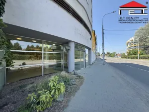 Pronájem obchodního prostoru, Brno, Bubeníčkova, 193 m2