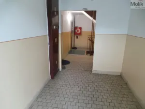 Pronájem bytu 2+kk, Bílina - Újezdské Předměstí, Mírová, 44 m2