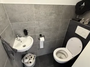 Pronájem rodinného domu, Holubice, 130 m2