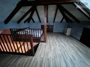 Pronájem rodinného domu, Háj u Duchcova - Domaslavice, Lesní stezka, 160 m2