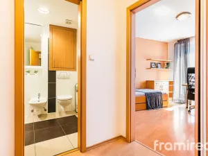 Prodej bytu 3+kk, Brno, Bubeníčkova, 70 m2