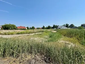 Prodej pozemku pro bydlení, Dašice, Pod Lipami, 1082 m2