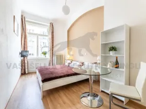 Pronájem bytu 1+kk, Praha - Nové Město, Vodičkova, 31 m2