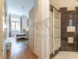 Pronájem bytu 1+kk, Praha - Nové Město, Vodičkova, 31 m2