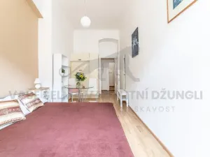 Pronájem bytu 1+kk, Praha - Nové Město, Vodičkova, 31 m2