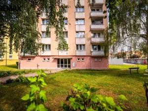 Prodej bytu 2+1, Písek - Budějovické Předměstí, Dr. M. Horákové, 55 m2