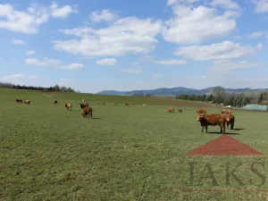 Prodej pozemku pro bydlení, Janovice nad Úhlavou, 4086 m2