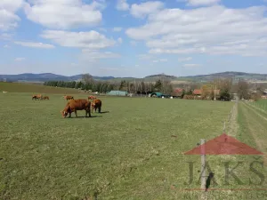 Prodej pozemku pro bydlení, Janovice nad Úhlavou, 4086 m2