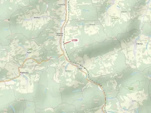 Dražba lesa, Valašská Polanka, 1112 m2