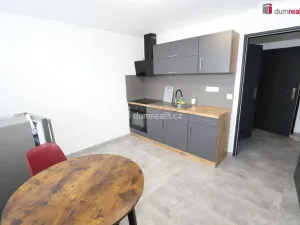 Pronájem bytu 1+1, Přimda - Újezd pod Přimdou, 24 m2