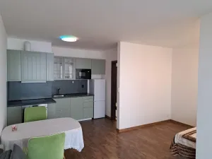 Pronájem bytu 1+kk, Praha - Dolní Měcholupy, Honzíkova, 42 m2