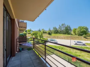 Pronájem bytu 1+kk, Jihlava, Halasova, 43 m2