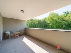 Pronájem bytu 2+kk, Plzeň - Doudlevce, Heyrovského, 60 m2