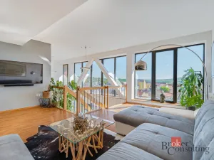 Prodej bytu 5+kk, Plzeň - Severní Předměstí, Otýlie Beníškové, 199 m2