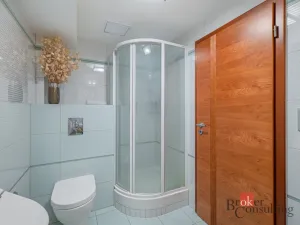 Prodej bytu 5+kk, Plzeň - Severní Předměstí, Otýlie Beníškové, 199 m2