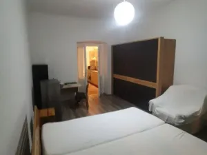 Pronájem bytu 1+1, Praha - Žižkov, 41 m2