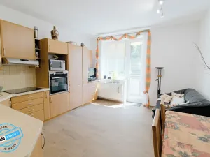 Prodej bytu 1+1, Krnov, Revoluční, 48 m2