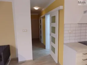 Pronájem bytu 2+1, Litvínov - Horní Litvínov, Podkrušnohorská, 70 m2