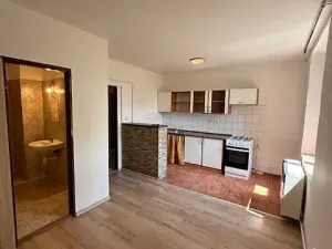 Pronájem bytu 1+kk, Český Brod, Želivského, 52 m2