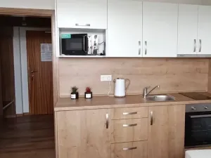Pronájem bytu 1+kk, Praha - Suchdol, Suchdolské náměstí, 22 m2