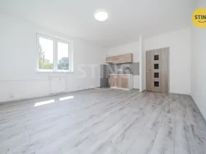 Prodej bytu 2+kk, Ostrava - Hrabůvka, Plzeňská, 48 m2