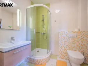 Prodej atypického bytu, Děpoltovice, 238 m2
