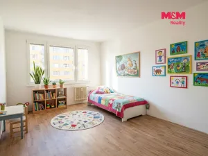 Prodej bytu 3+1, Strakonice - Strakonice II, Dukelská, 76 m2