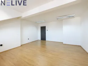 Pronájem kanceláře, Plzeň, Tylova, 24 m2