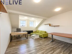 Pronájem kanceláře, Plzeň, Skrétova, 21 m2