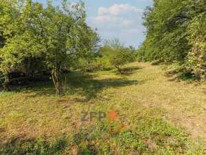 Prodej pozemku pro bydlení, Borotín, 1005 m2