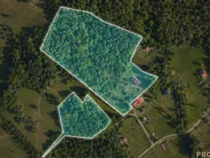 Prodej chalupy, Bystřice, 90 m2