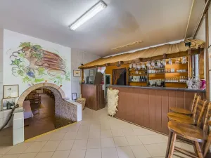 Prodej zemědělského objektu, Velké Pavlovice, Trávníky, 400 m2