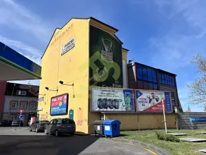 Prodej činžovního domu, Plzeň, Lindauerova, 776 m2
