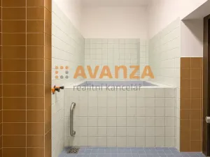 Prodej komerční nemovitosti, Děčín, Riegrova, 1200 m2