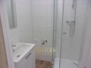 Pronájem bytu 2+1, Teplice, Stará Duchcovská, 53 m2