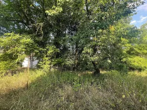 Prodej rodinného domu, Týnec nad Sázavou, 250 m2