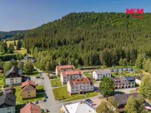 Prodej bytu 3+1, Borová Lada, 70 m2