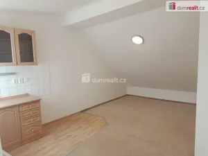 Pronájem bytu 1+kk, Praha - Michle, Týmlova, 20 m2
