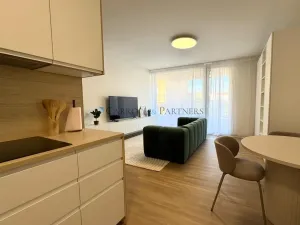 Pronájem bytu 1+kk, Ostrava - Slezská Ostrava, U Hájenky, 40 m2