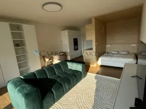 Pronájem bytu 1+kk, Ostrava - Slezská Ostrava, U Hájenky, 40 m2