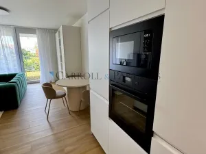 Pronájem bytu 1+kk, Ostrava - Slezská Ostrava, U Hájenky, 40 m2